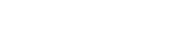 Item 1
